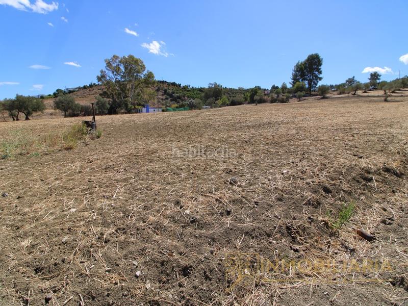 Foto 3c11c499-b95e-4028-8fd6-a3948ec26469. Terrain résidentiel dans Centro Alhaurín el Grande