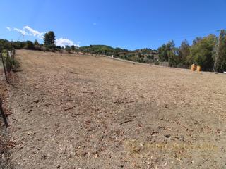Terreny residencial  N/a. Se vende terreno rustico en villa borrego