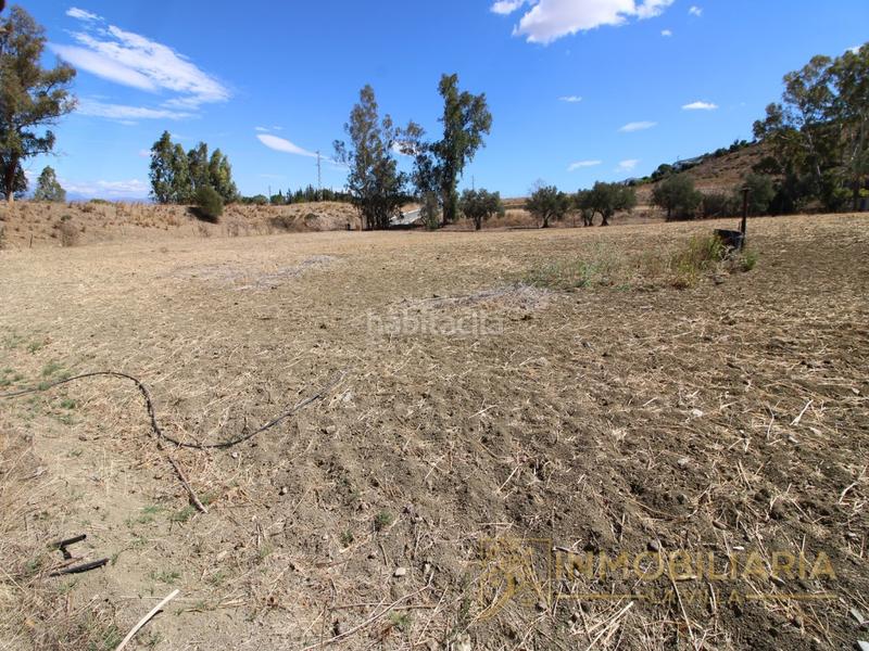 Foto f1f35b63-a236-4d66-9969-185022760e1d. Terrain résidentiel dans Centro Alhaurín el Grande