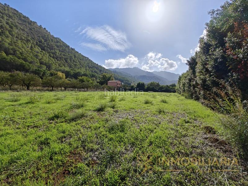 Foto d5565cce-a712-42ed-881a-8994a1aa8013. Wohngrundstück in Coín