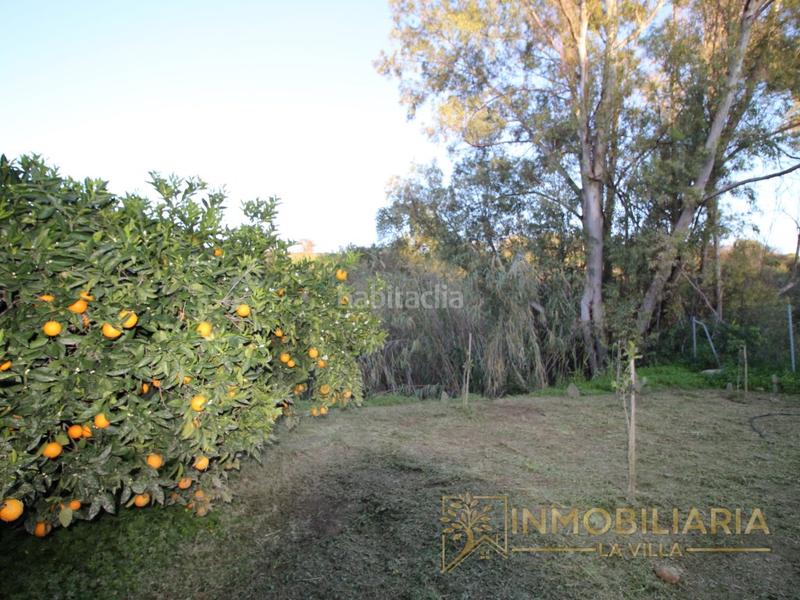 Foto 777d9221-910b-4a5c-81ce-4d019be95314. Terreno residencial excepcional terreno rustico con agua ,luz y vallado. en Alhaurín de la Torre