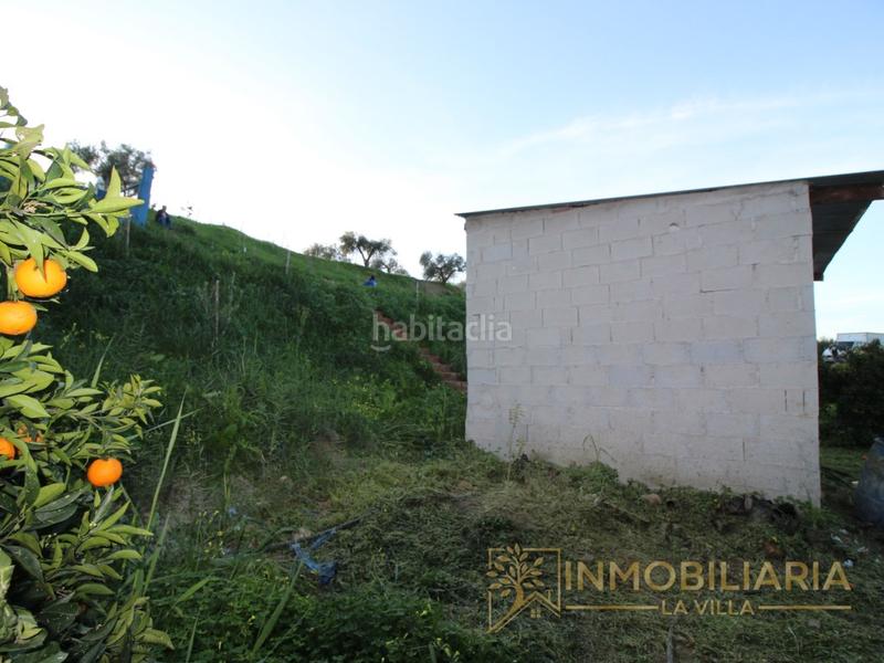 Foto 8121287e-4016-44a5-99b5-f74990f3650c. Terreno residencial excepcional terreno rustico con agua ,luz y vallado. en Alhaurín de la Torre