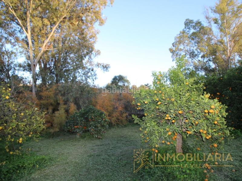 Foto a1794f15-d804-46e0-a70a-52d23a213fbb. Terreno residencial excepcional terreno rustico con agua ,luz y vallado. en Alhaurín de la Torre