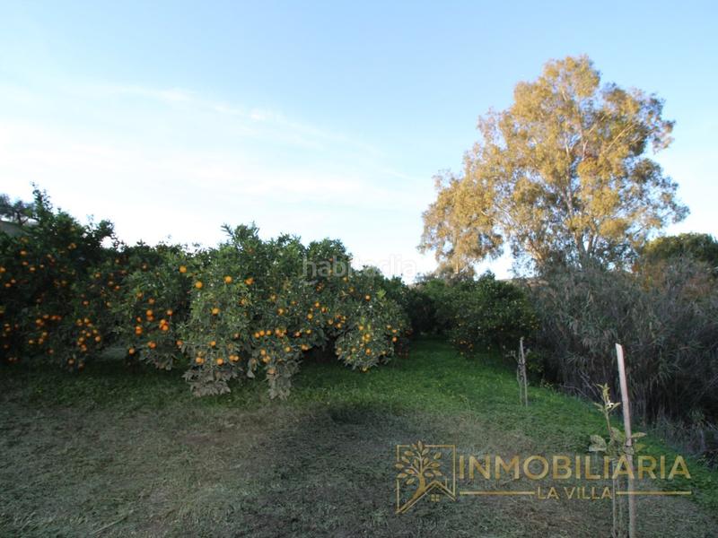Foto ce794280-5efa-42e1-91ee-bec0786cf8bd. Terreno residencial excepcional terreno rustico con agua ,luz y vallado. en Alhaurín de la Torre