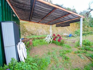 Residential Plot  Partida puerto falso. Finca rústica con 28.000 m de terreno y plantación de aguacates