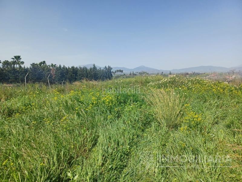 Foto 1419c25b-8e76-48df-a48c-e5419ee91291. Terreny residencial a Centro Alhaurín el Grande