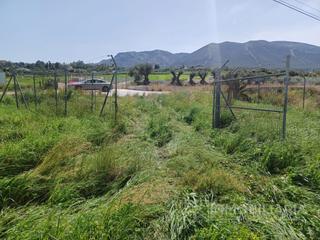Terreny residencial  N/a. Finca a pie de carretera , inmejorables condiciones y llana.