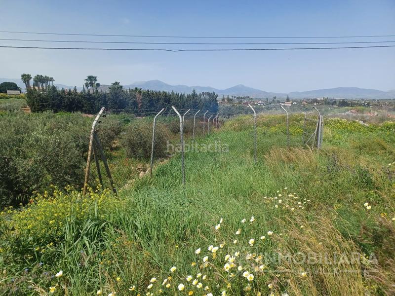 Foto a2b4edf1-1543-46e0-a1f1-6e3e6fa0da2f. Terreny residencial a Centro Alhaurín el Grande