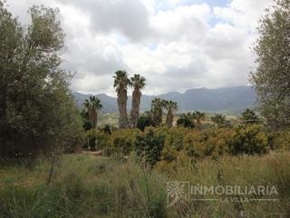 Maison  N/a. Extensa finca rustica con posibilidad de luz y agua de pozo