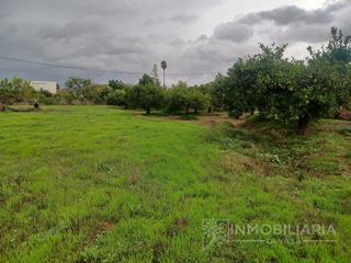 Terreno residenziale in Poligono 7 Paraje 34 Borrajo