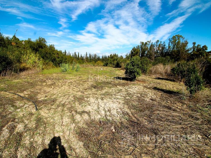 Foto 4971ed89-5e39-401e-8880-da3a8630671c. Bauernhof in Centro Alhaurín el Grande
