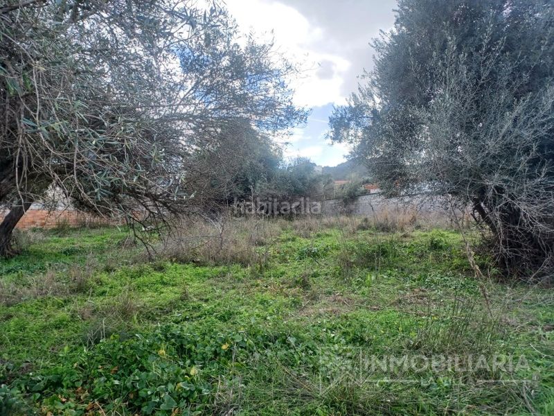 Foto 35e5aa70-c300-4e0a-a759-089b66031b8d. Terreny residencial a Cártama pueblo Cártama