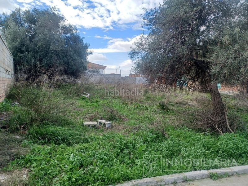 Foto 7db0b11f-ce1c-49fa-a1c6-37794ed1e44b. Terreny residencial a Cártama pueblo Cártama