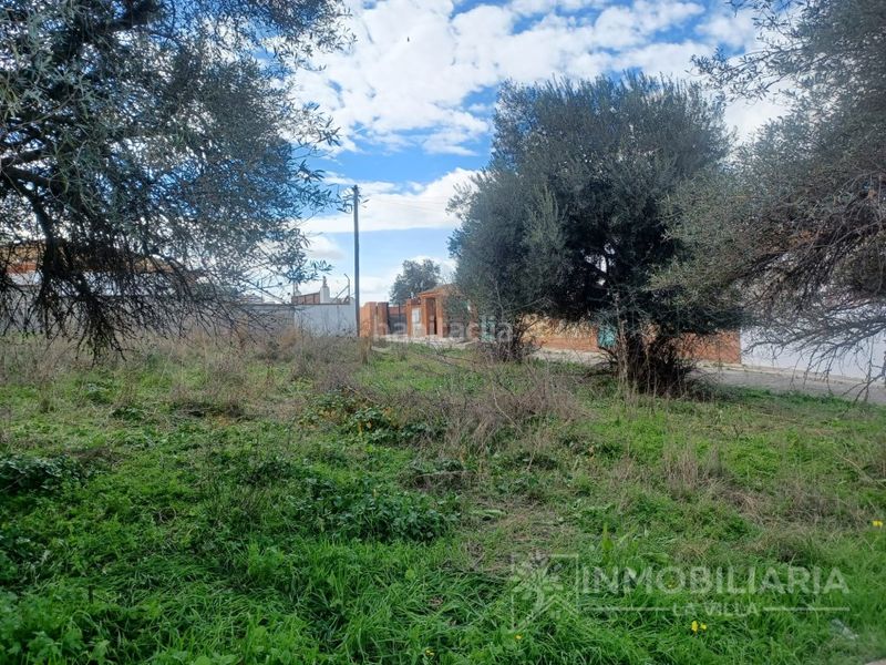 Foto 8c0e4ccc-4144-4513-b7f5-3a701c35194b. Terreny residencial a Cártama pueblo Cártama