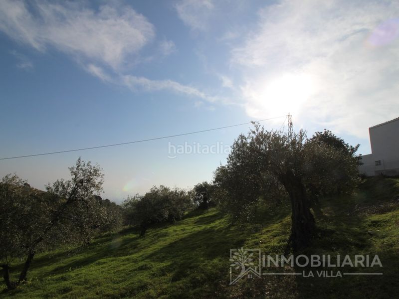 Foto 12cb63e7-718d-45bf-bcda-aef9193294f6. Masia a Alozaina