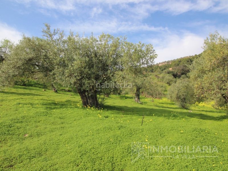 Foto 69e998d6-656f-4013-8c94-ebb12adbed70. Masia a Alozaina