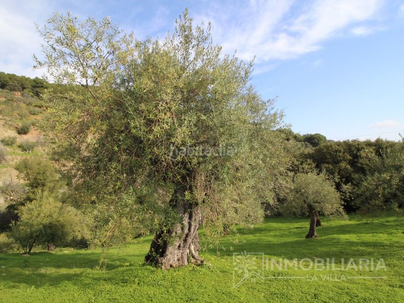 Foto 76e61026-1c43-40d8-8c7c-2d86c1bf9556. Masia a Alozaina