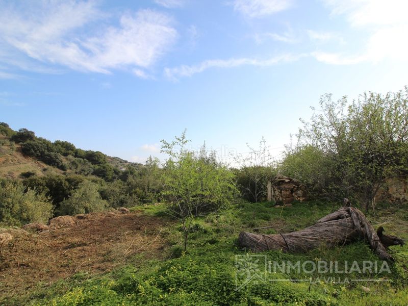 Foto d6d4d344-1466-4a05-a073-8a743a84eaab. Masia a Alozaina