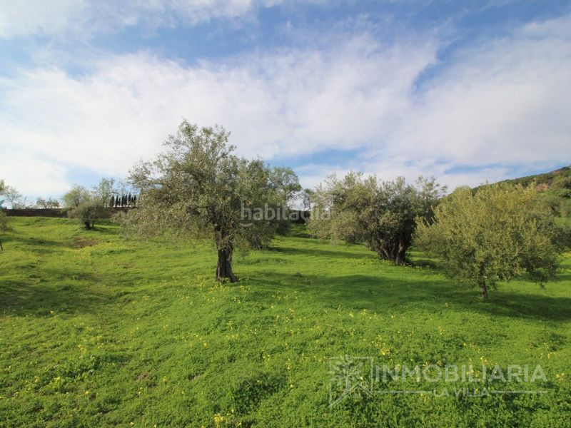 Foto fbaf67fe-3614-468b-b8cb-7bf6e08c1fce. Masia a Alozaina