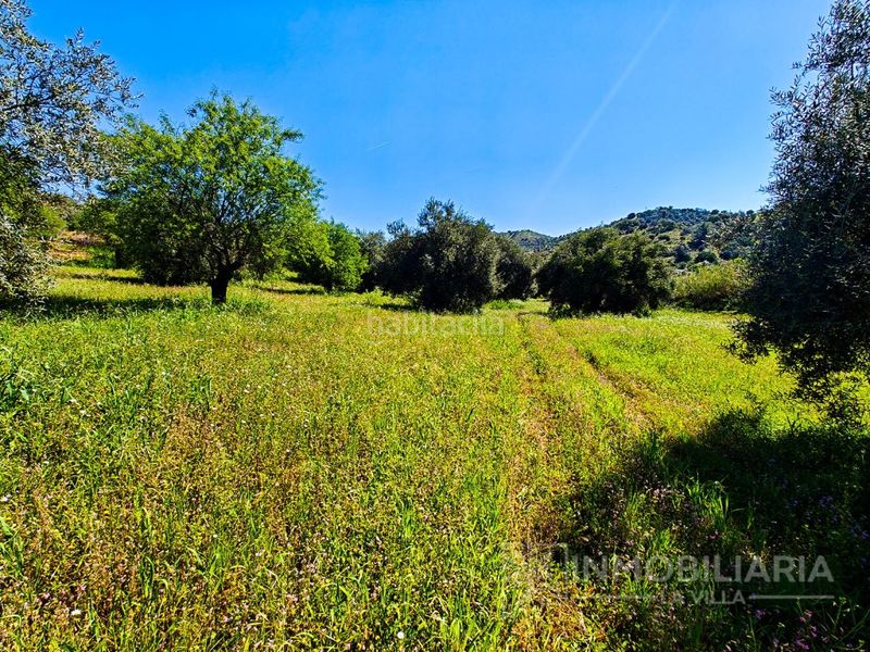Foto cf1fe969-b58b-4310-859a-d58fc7190012. Masia a Coín