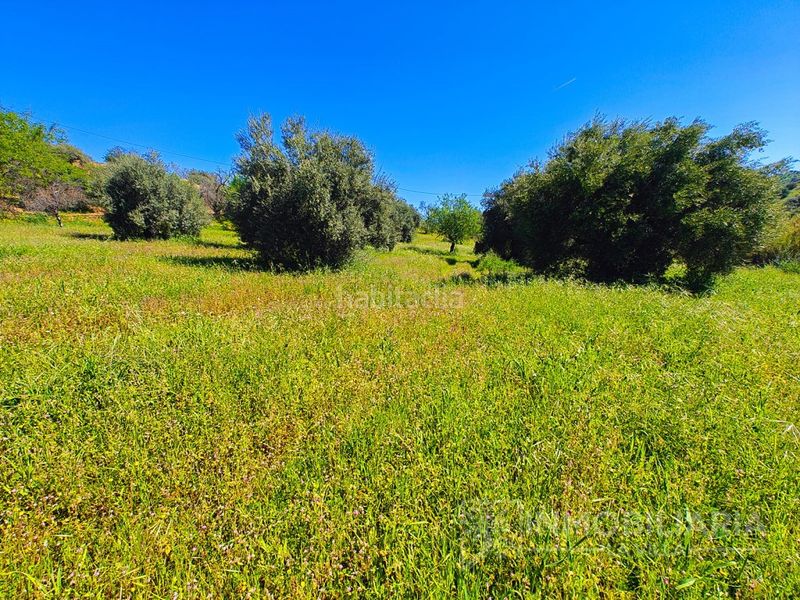 Foto fa8d8f31-a4d7-4b51-a59c-dbcf6df2a8ad. Masia a Coín