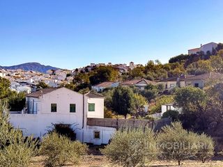 Casale  Partida dehesa. Propiedad única con 7 habitaciones y gran potencial de inversión