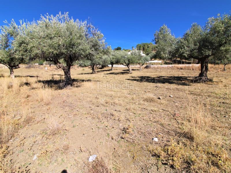 Foto 4ae8fa4d-8cd8-410c-8e48-b153f719d6bd. Terreno residenziale in Coín