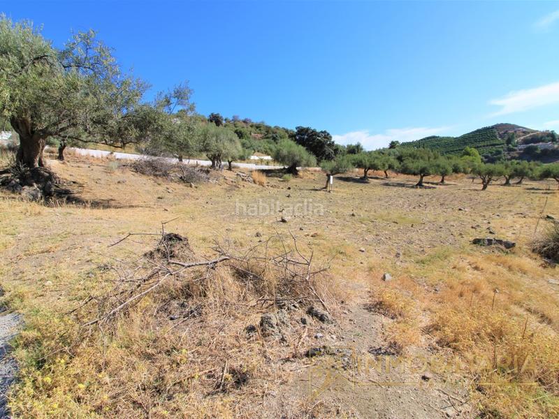 Foto bb21c248-70b0-4cba-897b-c5fed7519955. Terreno residenziale in Coín