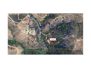 Residential Plot  N/a. Extenso terreno para rendimientos variados.