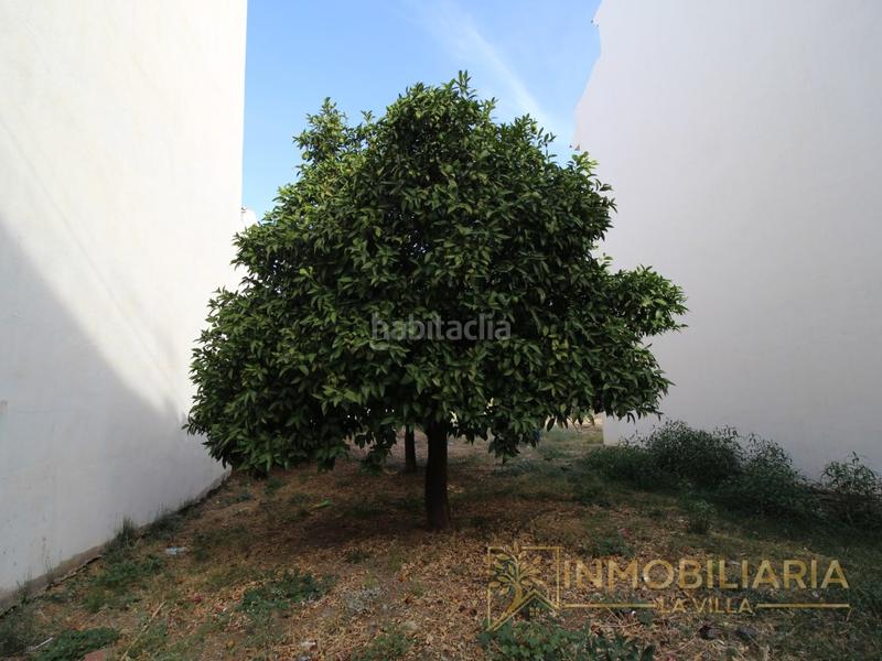 Foto 3f4e7592-6f33-4118-bdc2-30794cb90992. Terreno residenziale in Centro Alhaurín el Grande