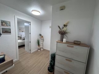 Miete Etagenwohnung in Guardamar Playa. Amplio piso para alquilar a pie de la playa