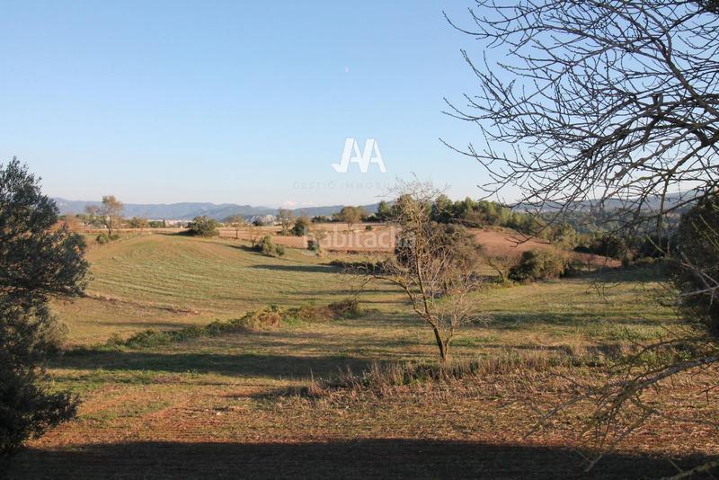 Foto c7ea40c2-56e5-473c-8b87-e8b6a3cdafe1. Finca rústica a Jorba