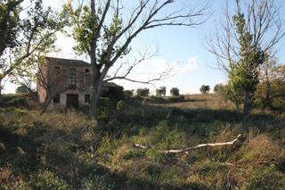 Xalet a Jorba. Masa y terreno en venta en jorba