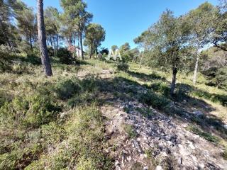 Finca rústica  Francesc combó. Terreno en venta en pinedes de larmengol la torre de claramunt