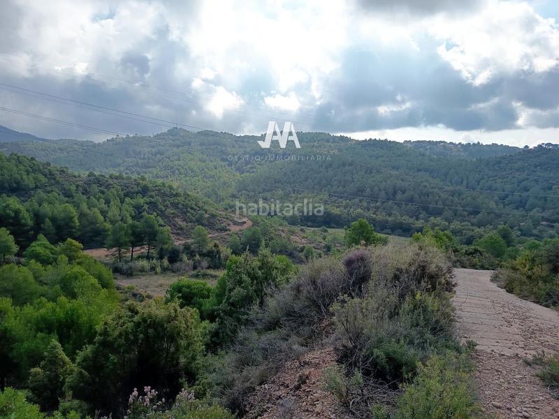 Foto 38901a6f-9e93-41b4-a8cc-521f6bfdc428. Finca rústica a Bruc (El)