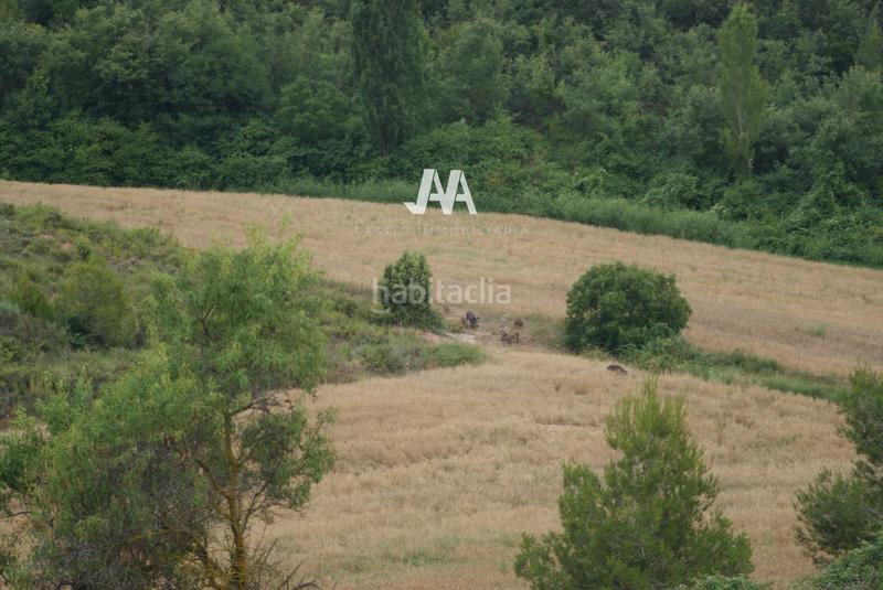 Foto a73fd944-8b73-4e6f-8711-ec5738a0ddde. Finca rústica a Bruc (El)