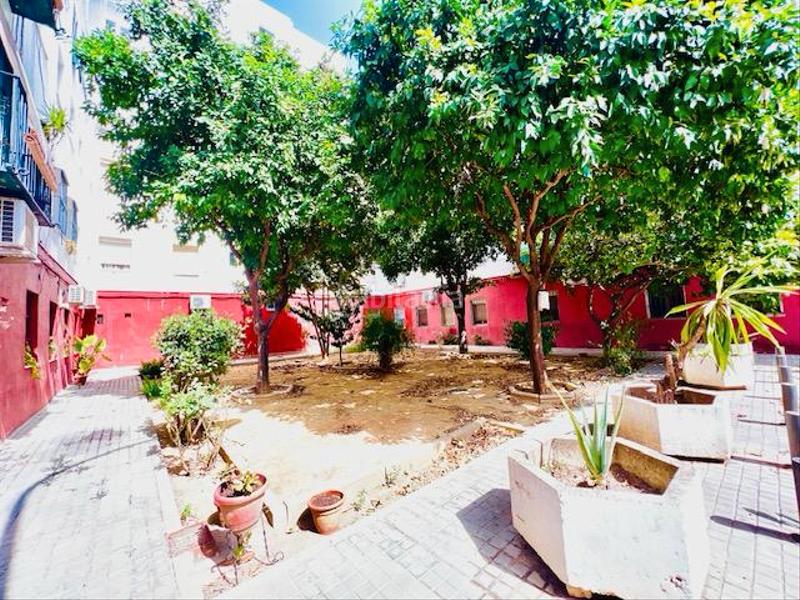 Foto 98907d00-8eac-4e59-9e7d-2a83cfcace57. Lloguer planta baixa a El Tardón - El Carmen Sevilla