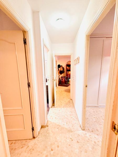 Foto 316af381-56a1-4e2e-ac4d-7f8c1109c0cd. Pis a Triana Oeste Sevilla