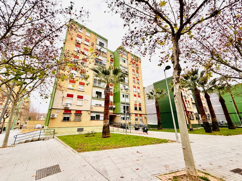 Foto 13210f42-ade2-41d7-a523-cb9c7f292966. Rent flat in Centro Montequinto