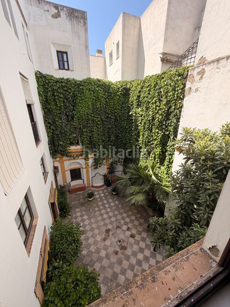 Foto c7ff4269-9e55-47ab-bdf4-80377f749f26. Pis a San Vicente Sevilla