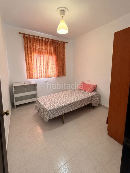 Foto 77cc654e-4da1-4bd1-b12e-313817148706. Pis a Parque María Luisa -Giralda Sur Sevilla
