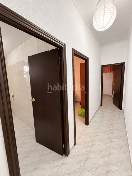 Foto c20b5837-ebc5-4707-993d-818b3cb701ac. Pis a Parque María Luisa -Giralda Sur Sevilla