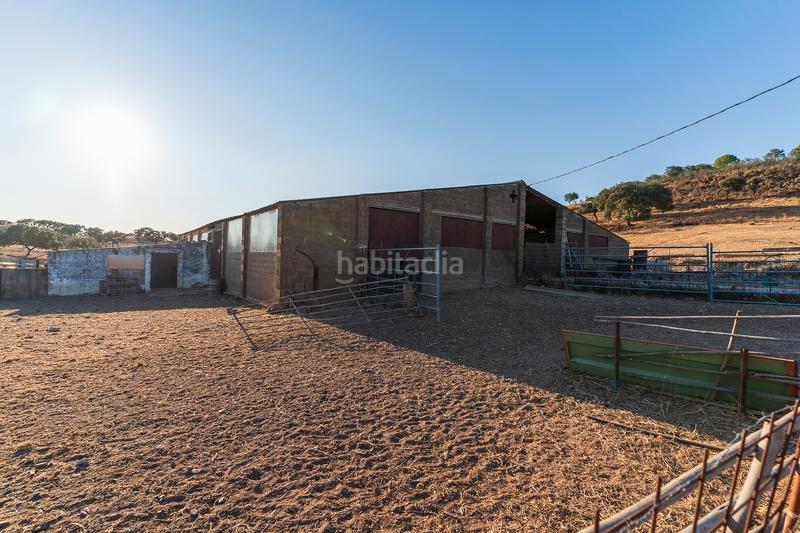 Foto 759f4226-4a51-4641-864a-afa43d4a89ca. Finca rústica a Calañas