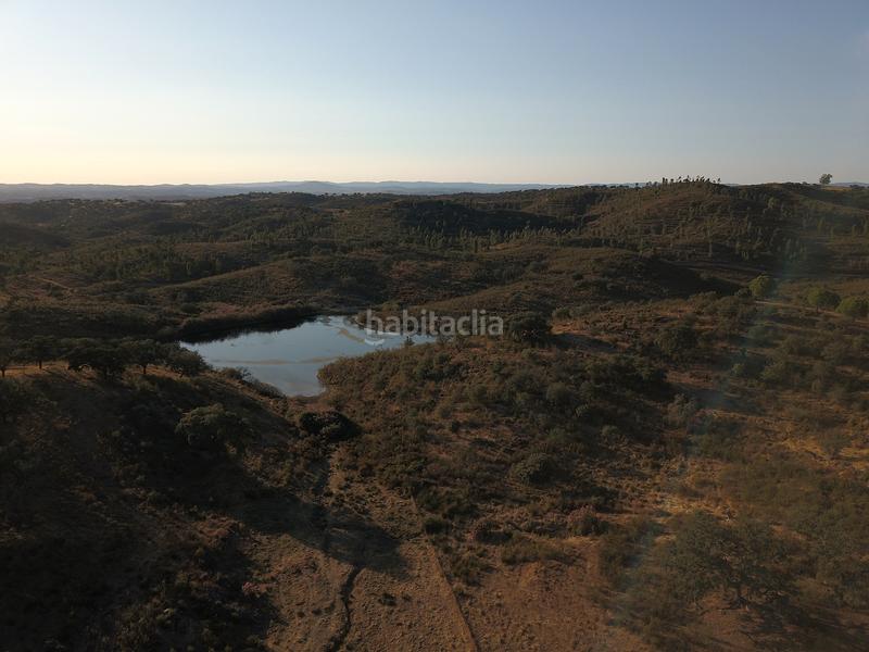 Foto bfebefb5-143f-4e32-81fa-29831b276c80. Finca rústica a Calañas