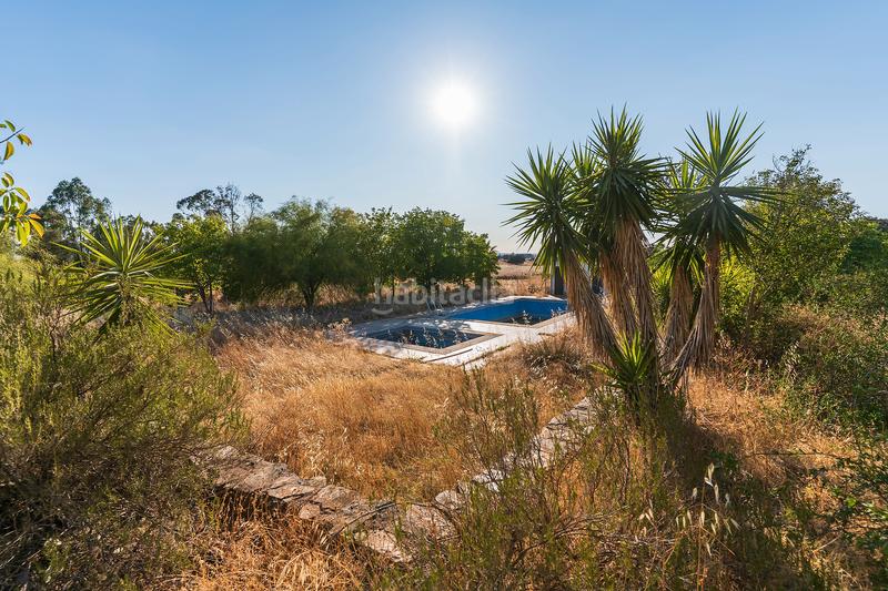 Foto 7da5c7f5-f717-41c9-88e4-c4302adb8c53. Finca rústica en n/a oportunidad única: venta de complejo de alojamiento rural en el andévalo de huelva en Calañas