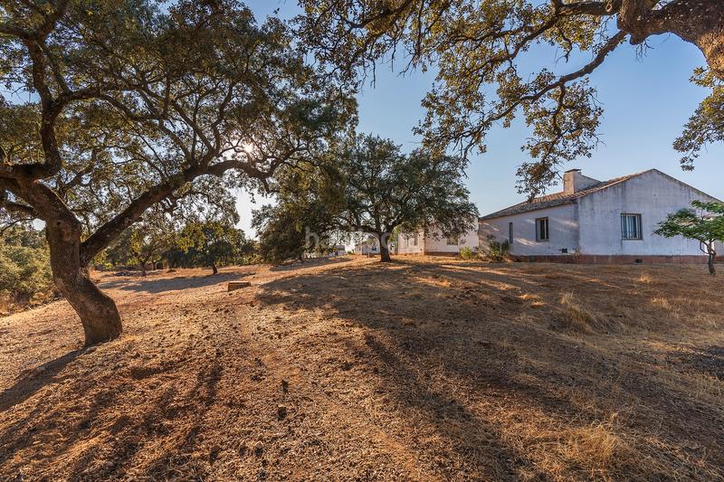 Foto ae008d72-8853-45b3-b46d-e00d832bd5d1. Finca rústica en n/a oportunidad única: venta de complejo de alojamiento rural en el andévalo de huelva en Calañas