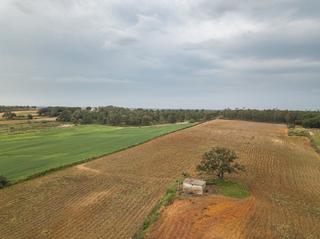 Fondo rustico in Niebla