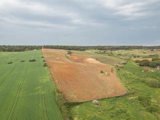 Finca rústica a N/a