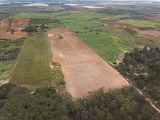 Finca rstica en Niebla