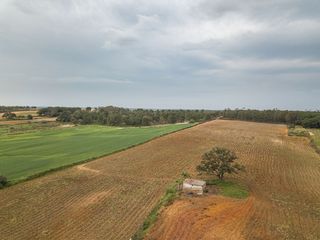 Propriété à Niebla
